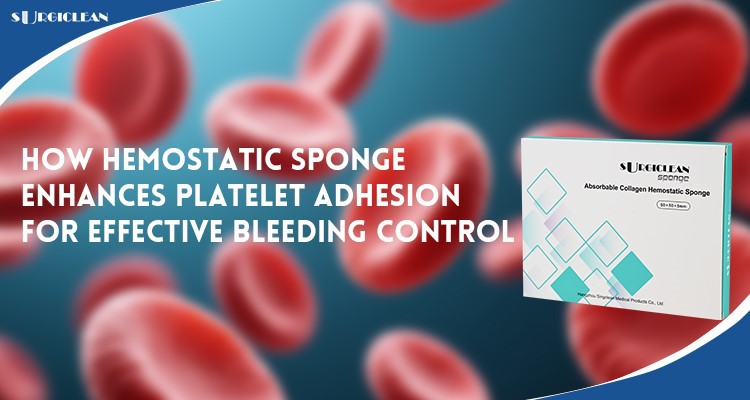 how-hemostatic-sponge-enhances how-hemostatic-sponge-enhances