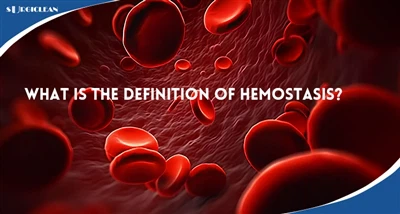 Mis on hemostaasi määratlus?